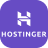 Hostinger icon